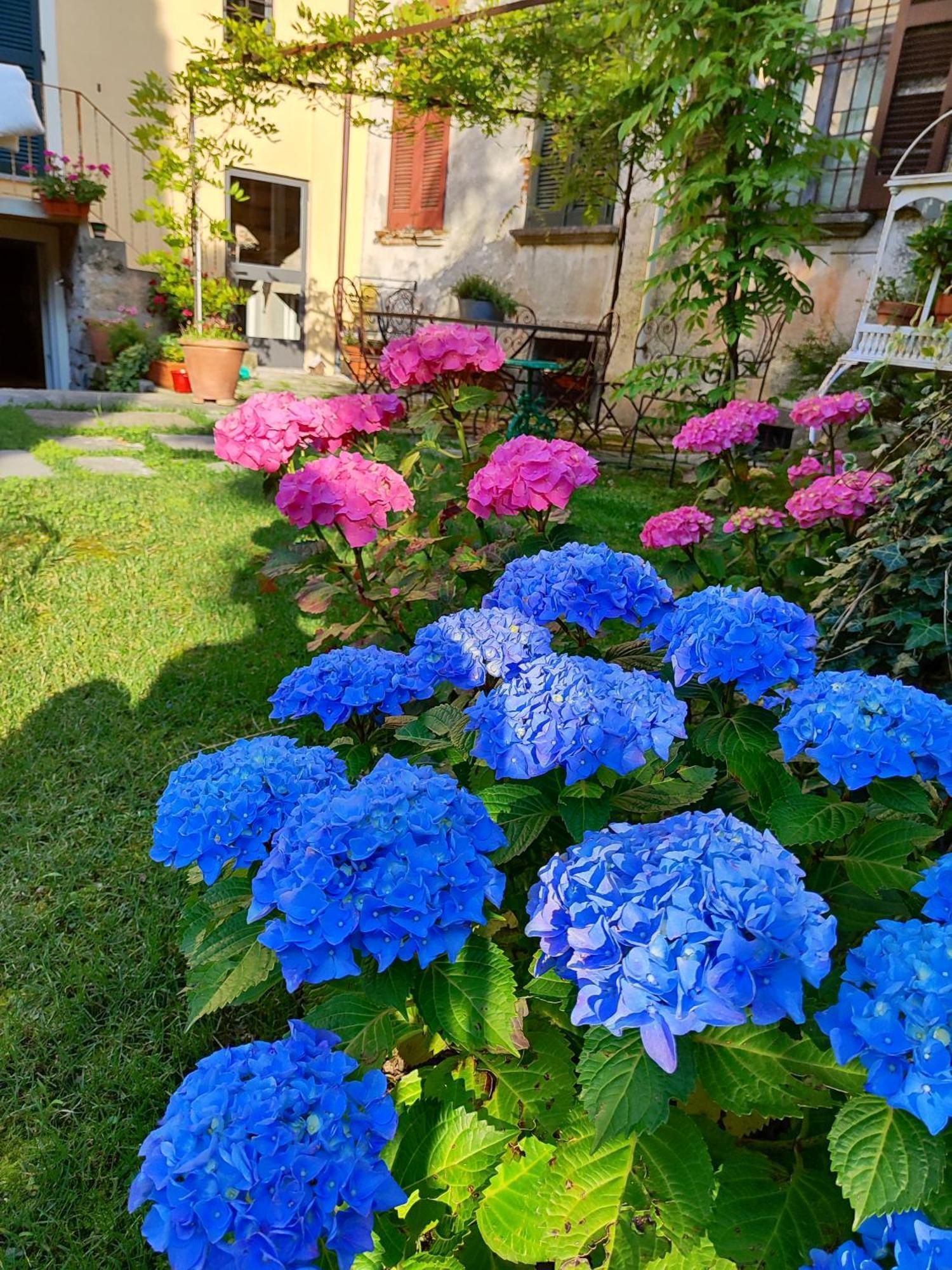 مبيت وإفطار تريميتْسّو Casa Lumaca المظهر الخارجي الصورة