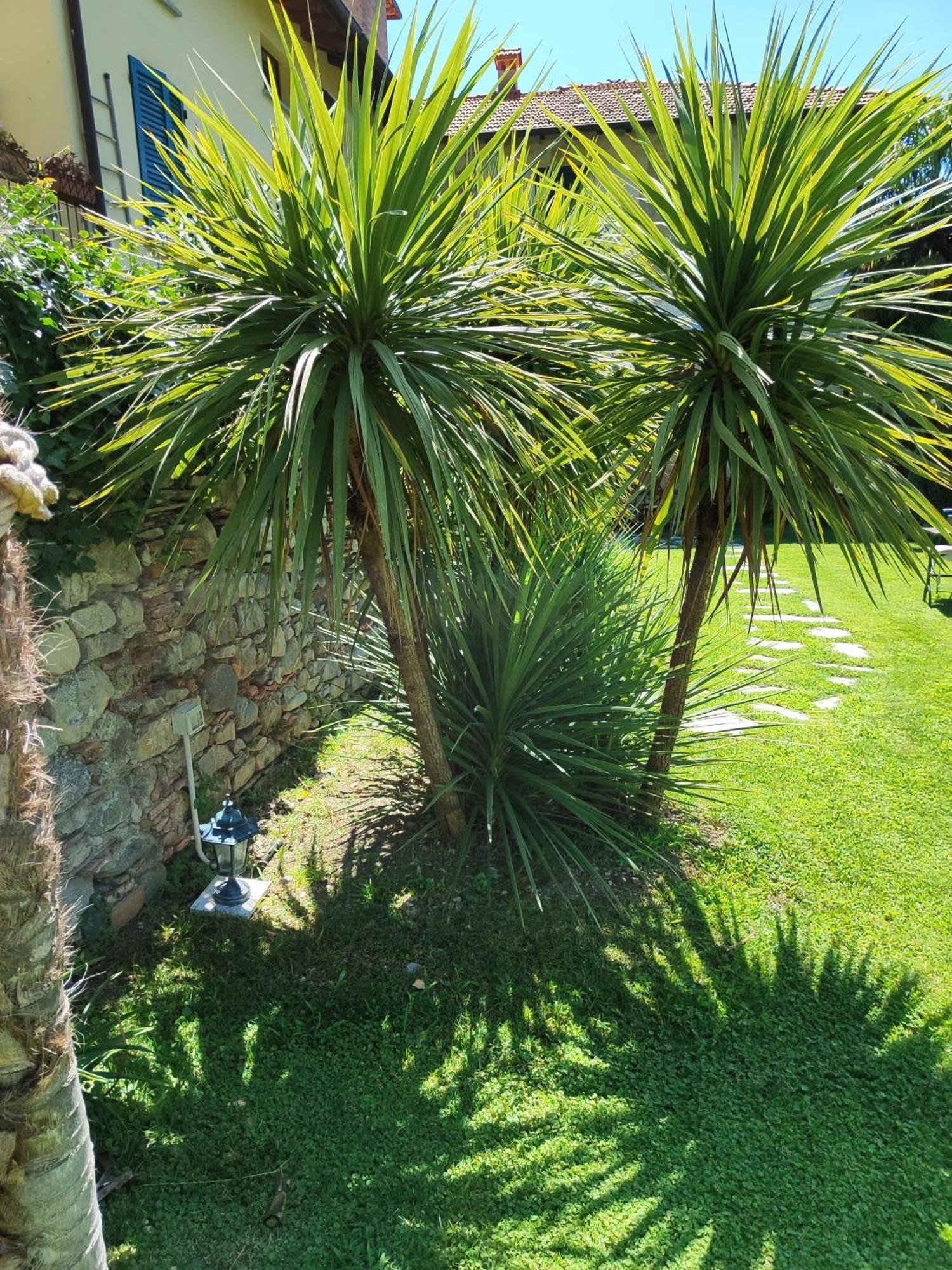 مبيت وإفطار تريميتْسّو Casa Lumaca المظهر الخارجي الصورة